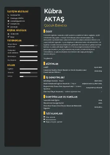 Çocuk Bakıcısı CV Örnekleri cv indir